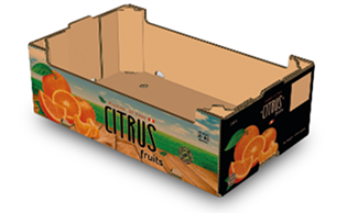 CITRUS FRUITS <strong>10 KG</strong>