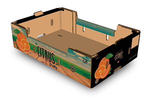 CITRUS FRUITS 15 KG