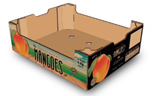 MANGO 4 Kg