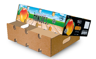 MANGO CARRY-HANDLE BOX 6 Kg