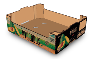 AVOCADO 4 Kg