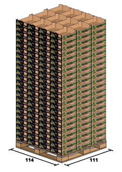 AVOCADO 4 Kg
