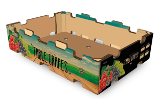 GRAPES  9 Kg