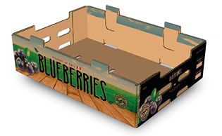 BLUE BERRY 4.4 oz